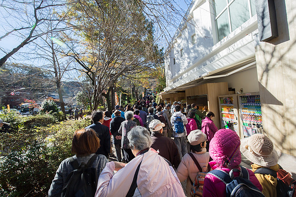 20151126-_D4C4299