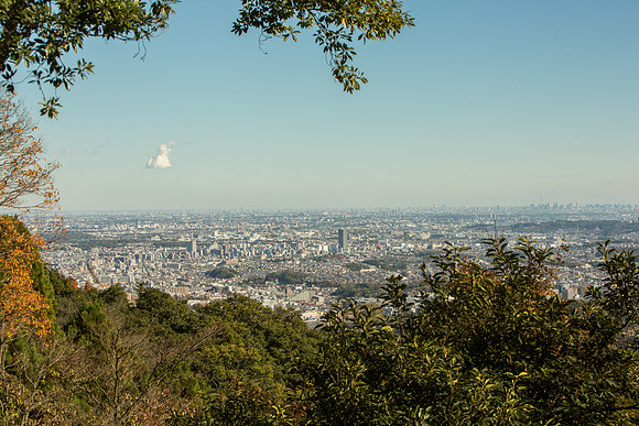 20151126-_D4C4310