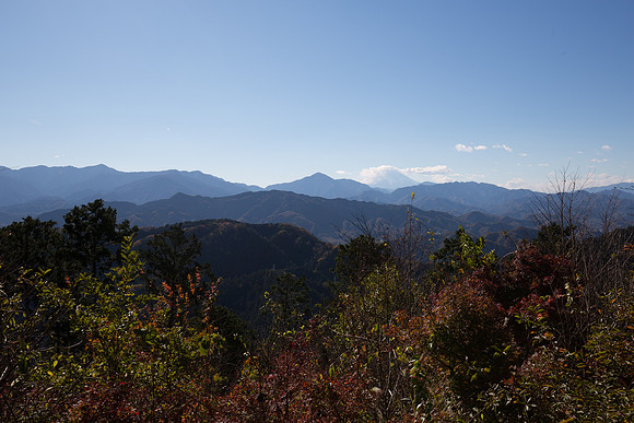 20151126-_D4C4328