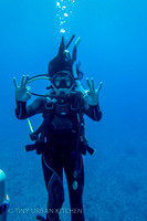Diving in Hawaii