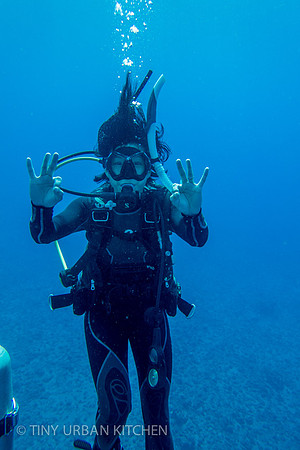 Diving in Hawaii
